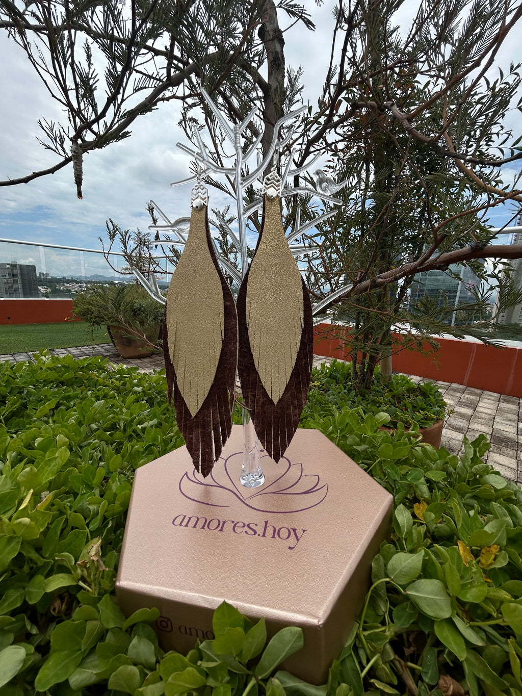 Café oscuro deslavado + dorado disco
